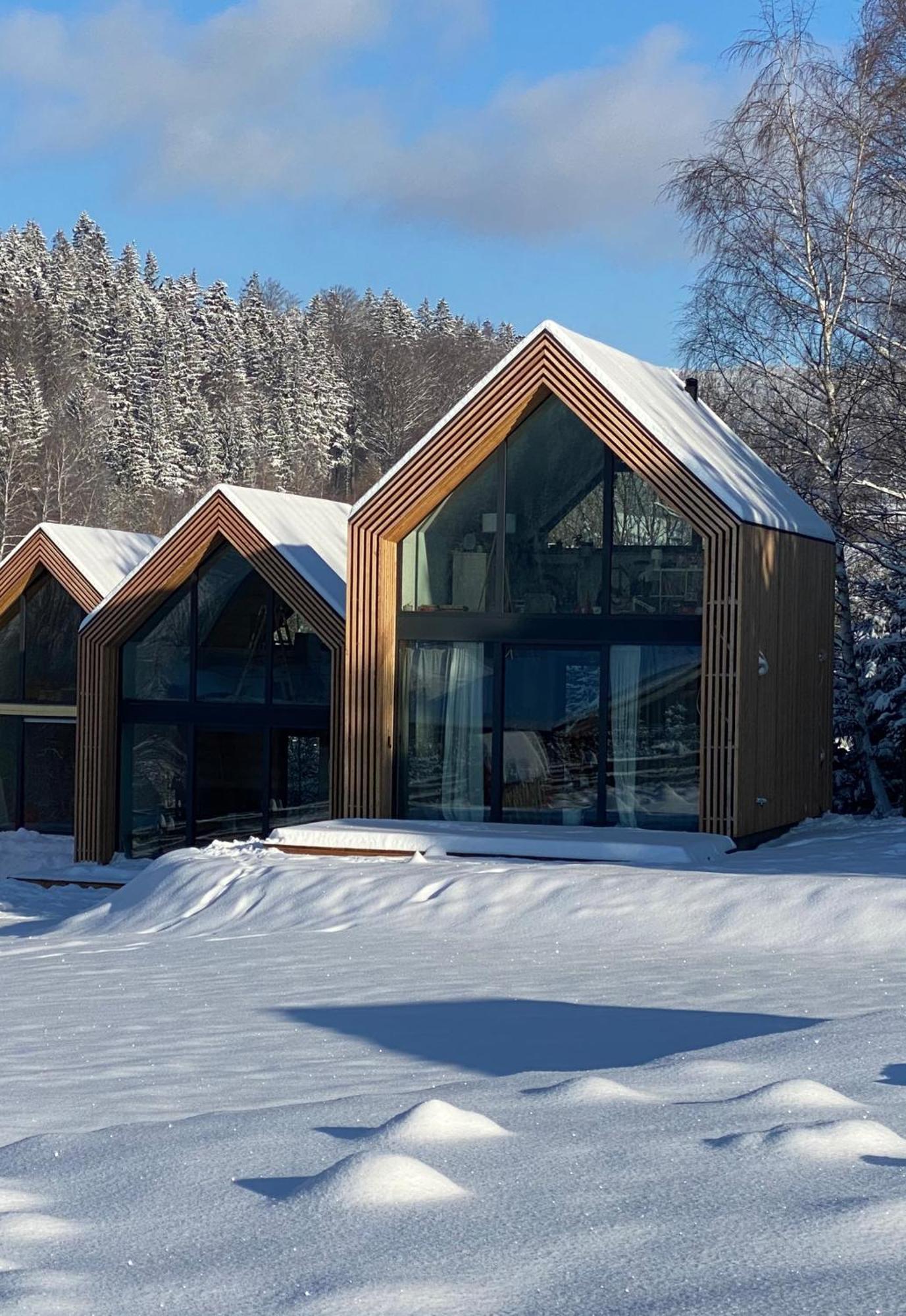 Domki Pod Lasem - Domek Sosnowy Stronie Śląskie エクステリア 写真