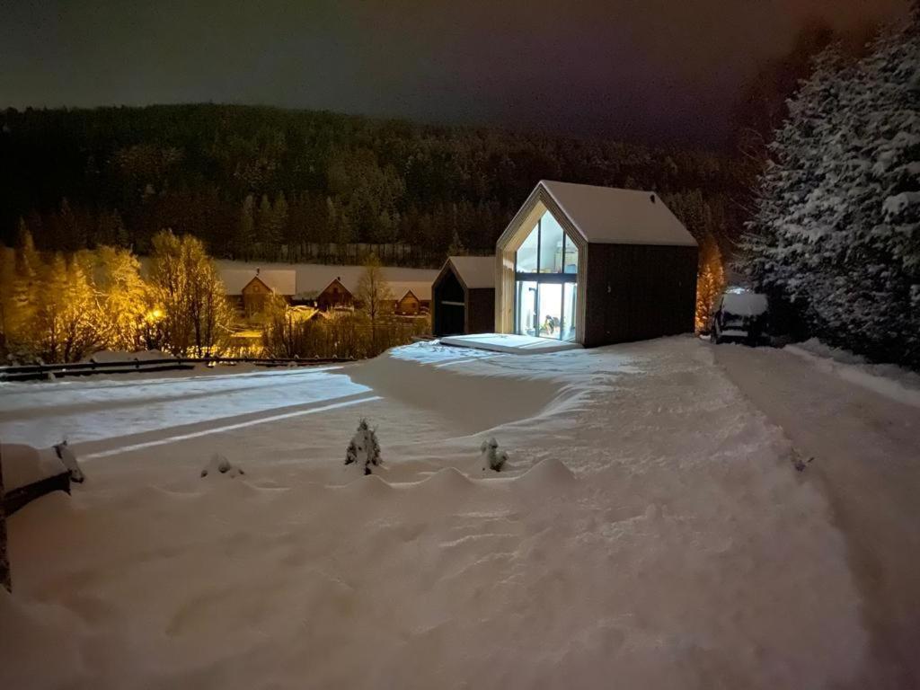 Domki Pod Lasem - Domek Sosnowy Stronie Śląskie エクステリア 写真